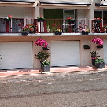 Magnolia - SALINS-LES-BAINS