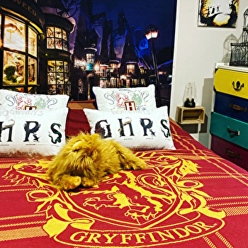 La Diligence - les Sorciers et escape game - SAINT-JEAN-DE-LOSNE