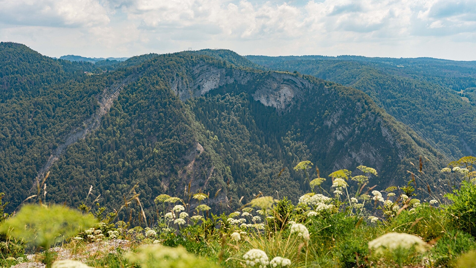 Les Grès de Septmoncel 