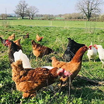 La ferme de Novelle - MARTIGNY-LE-COMTE
