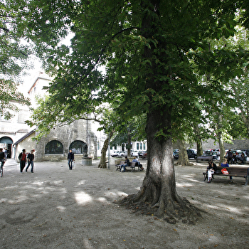 PORTRAITS D’ARCHITECTES : Claude-Antoine Colombot (1747-1821) - BESANCON
