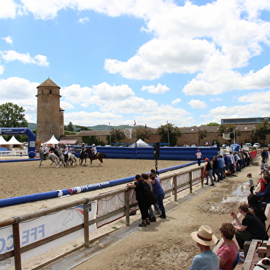 Championnat de France féminin  - Horse Ball Pro Elite