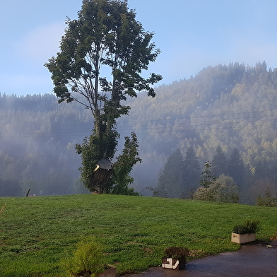 Bistrot du Chalet des Tuffes