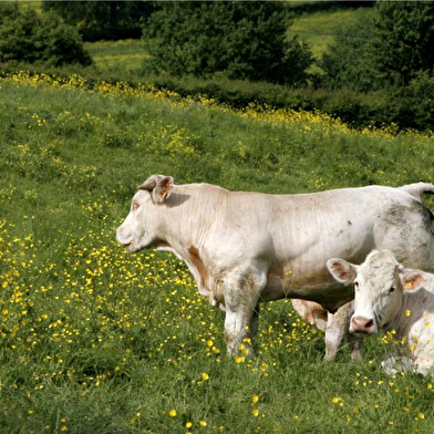 SAS Laporte ' Aux Délices d'Abon'