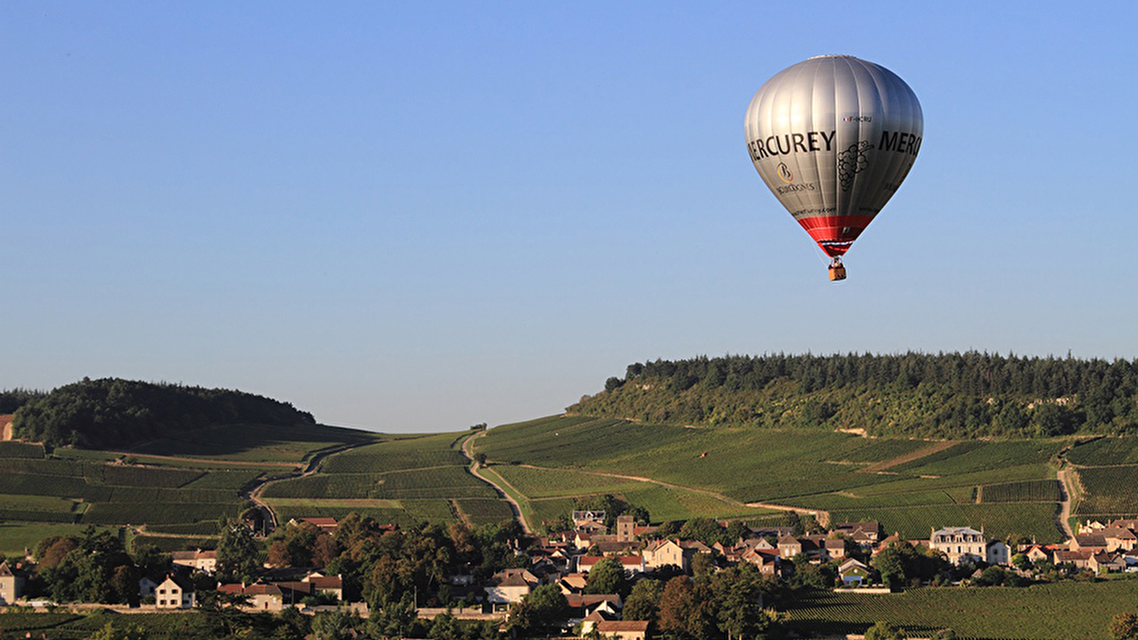 Domaine de l'Europe - Cinquin Chantal et Guy
