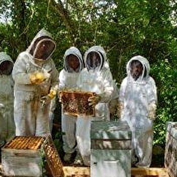 Abeilles et Découvertes  - POISEUX