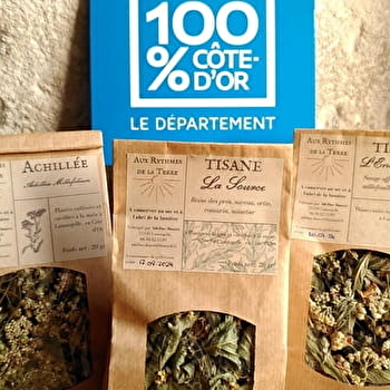 Adeline Noury - LAMARGELLE