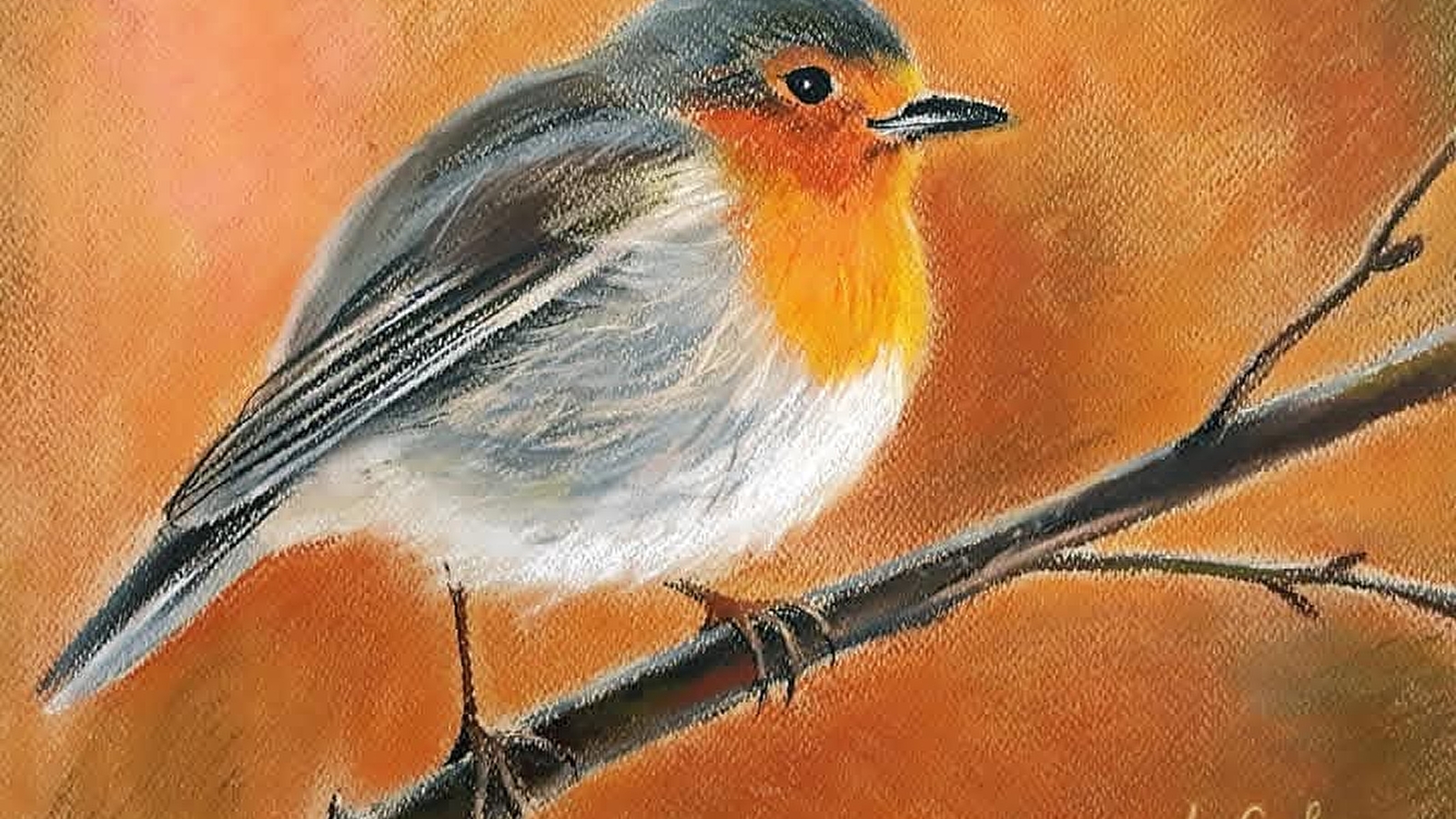 Exposition de Liudmila Colon : oiseaux, fleurs et nature