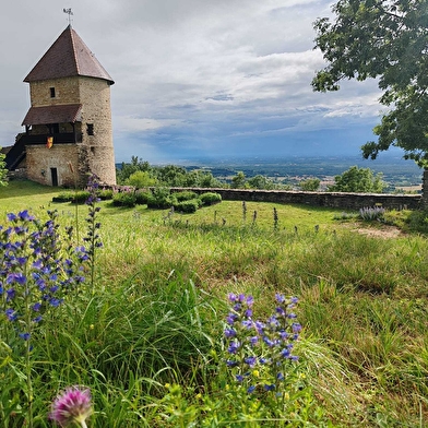 Château de Chevreaux