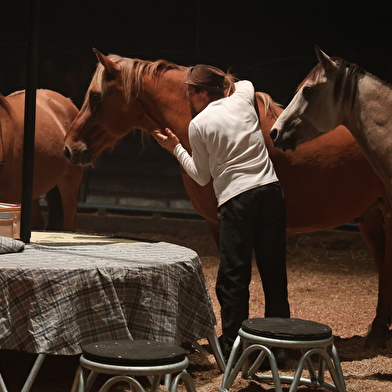 Spectacle équestre de l'été  'Zusamenn'
