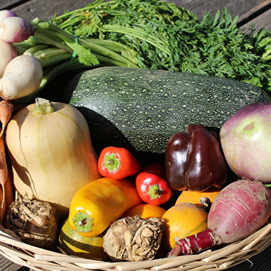 Le Maquis de la Cave