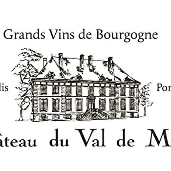 Château du Val de Mercy - CHITRY