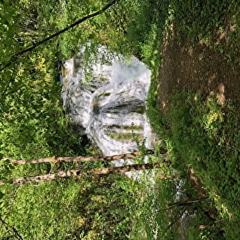 Aire de pique nique de la Cascade du bief de Caille à Ronchaux - RONCHAUX