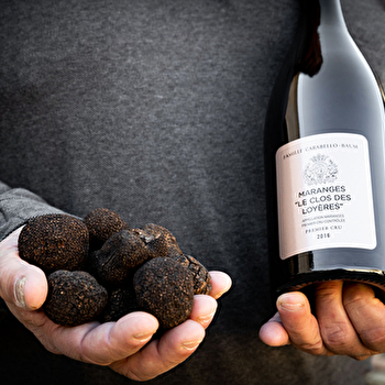 Expérience Autour de la truffe - POMMARD