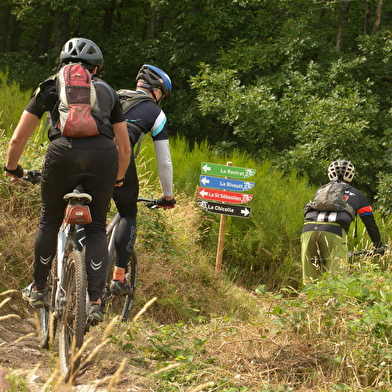 Site de piste de descente VTT