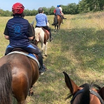 Ferme équestre du Bas Four - FRESNES