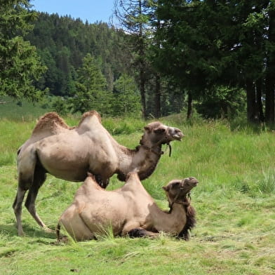 Ferme Découverte de l'Enquerne