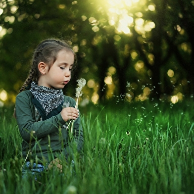 Classe nature dans le Jura