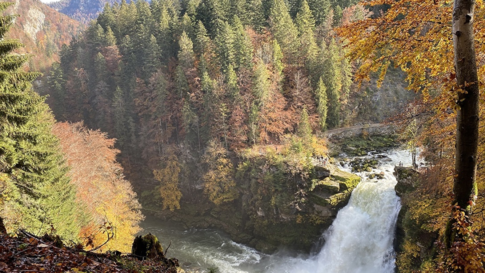 Meix Foncin - n° 14