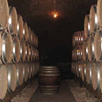 Clair Bruno - MARSANNAY-LA-COTE