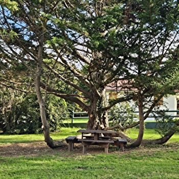 Aire de pique-nique - CRESSY-SUR-SOMME