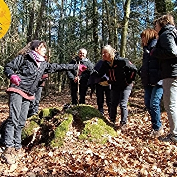 Bain de forêt - CHATENAY