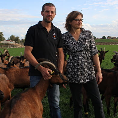 La Guyotte - Ferme Bressane