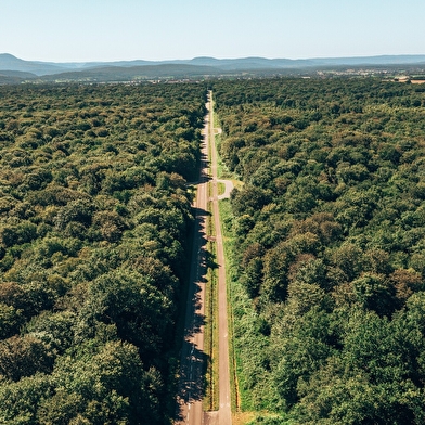 Tour du Jura Vélo Loisirs - Étape 2 : Ranchot - Port-Lesney