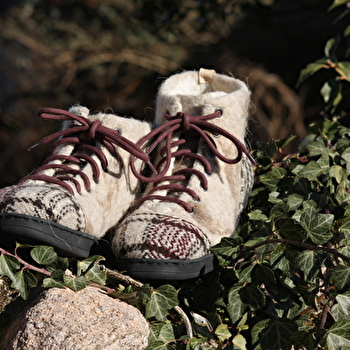 Filipendule - QUARRE-LES-TOMBES