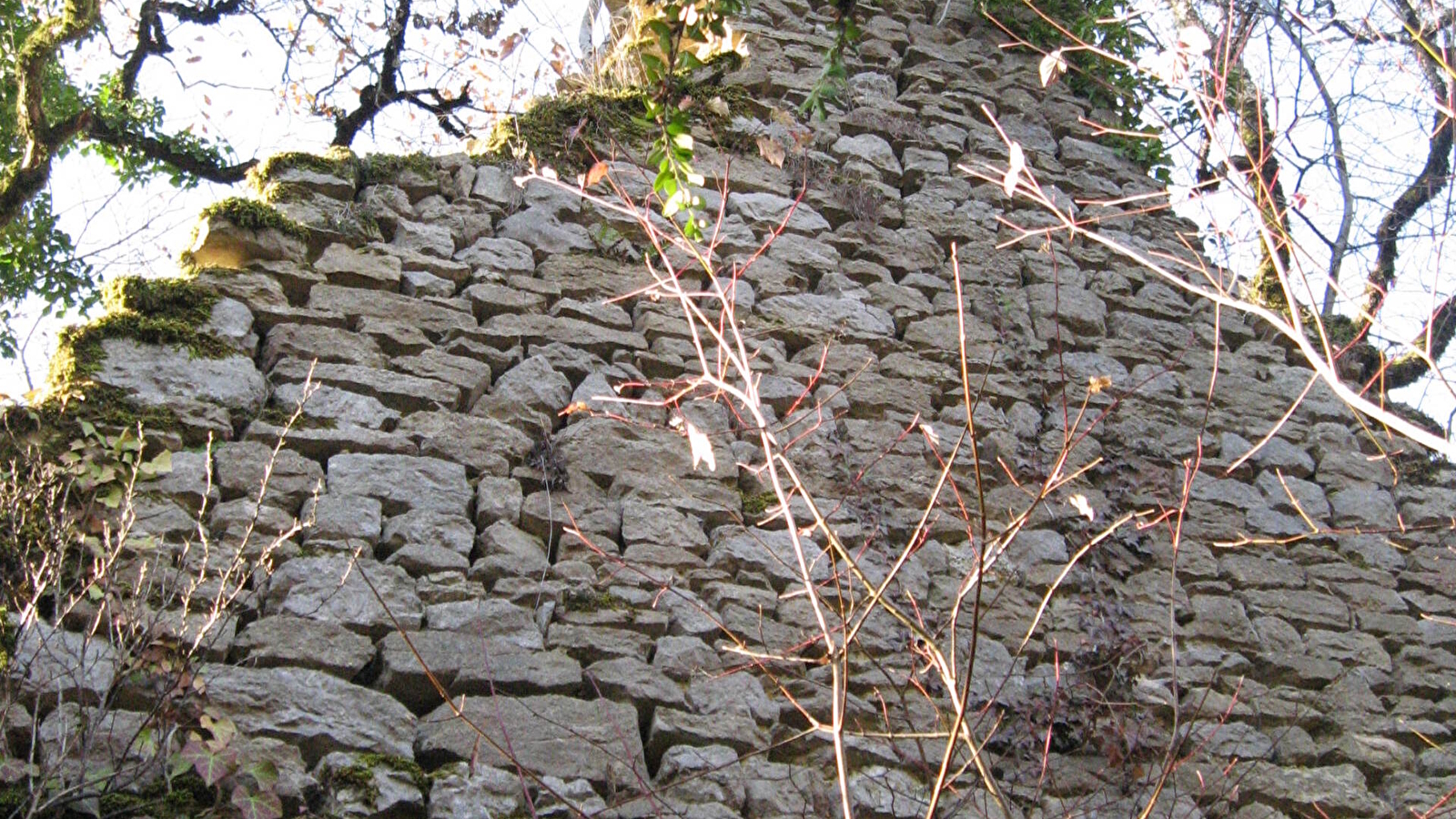 Randonnée - Les crêtes et ruines de la maison forte de Lomont