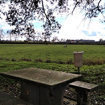 Aire de pique-nique de la Halte Nautique - PALINGES