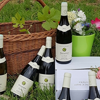 Lippe Isabelle - BROCHON