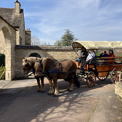 Attelage Beaune Passion - la Côte de Beaune... En calèche! Durée 2 heures 