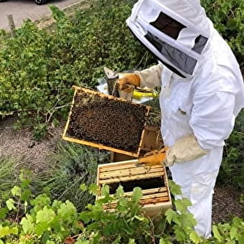 Les abeilles de la Terrière - DOMPIERRE-EN-MORVAN