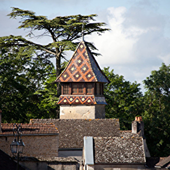 De Suremain Eric - MONTHELIE