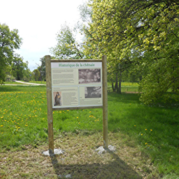 Chênaie d'Oussières - OUSSIERES