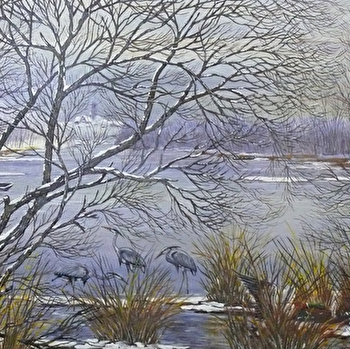 Animusée-vous : les arts, les animaux et les hommes - COSNE-COURS-SUR-LOIRE