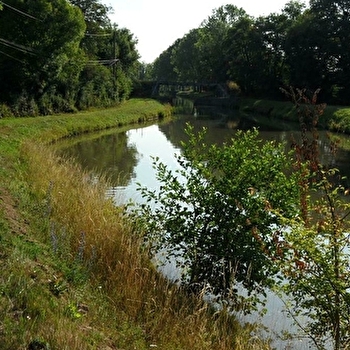 Aire de Pique-Nique - MARIGNY-SUR-YONNE