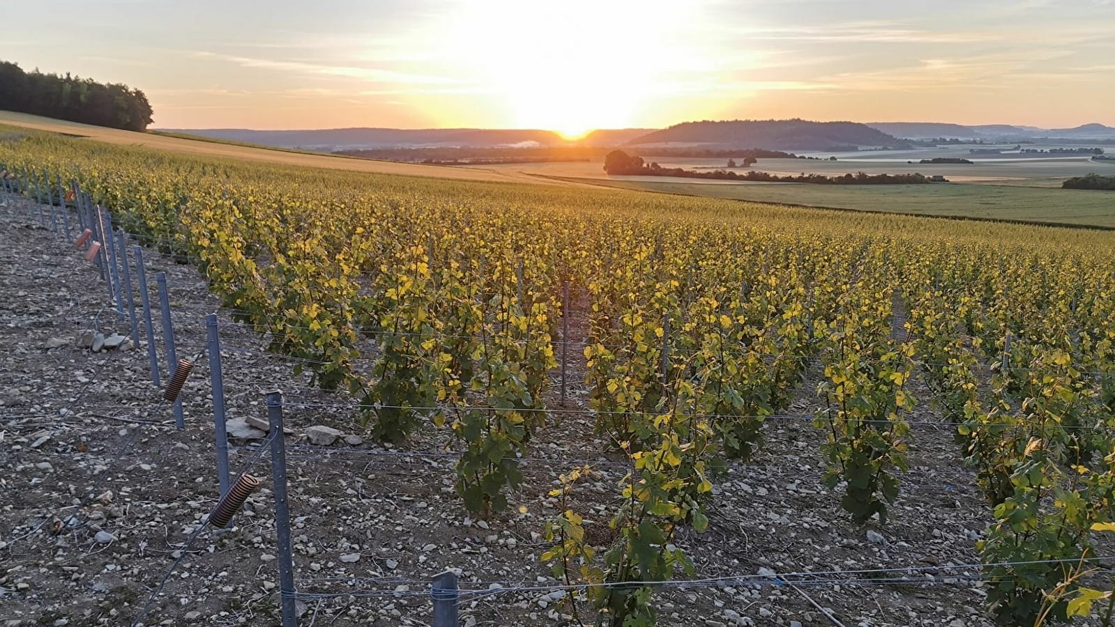 Cailletet Père et Fils