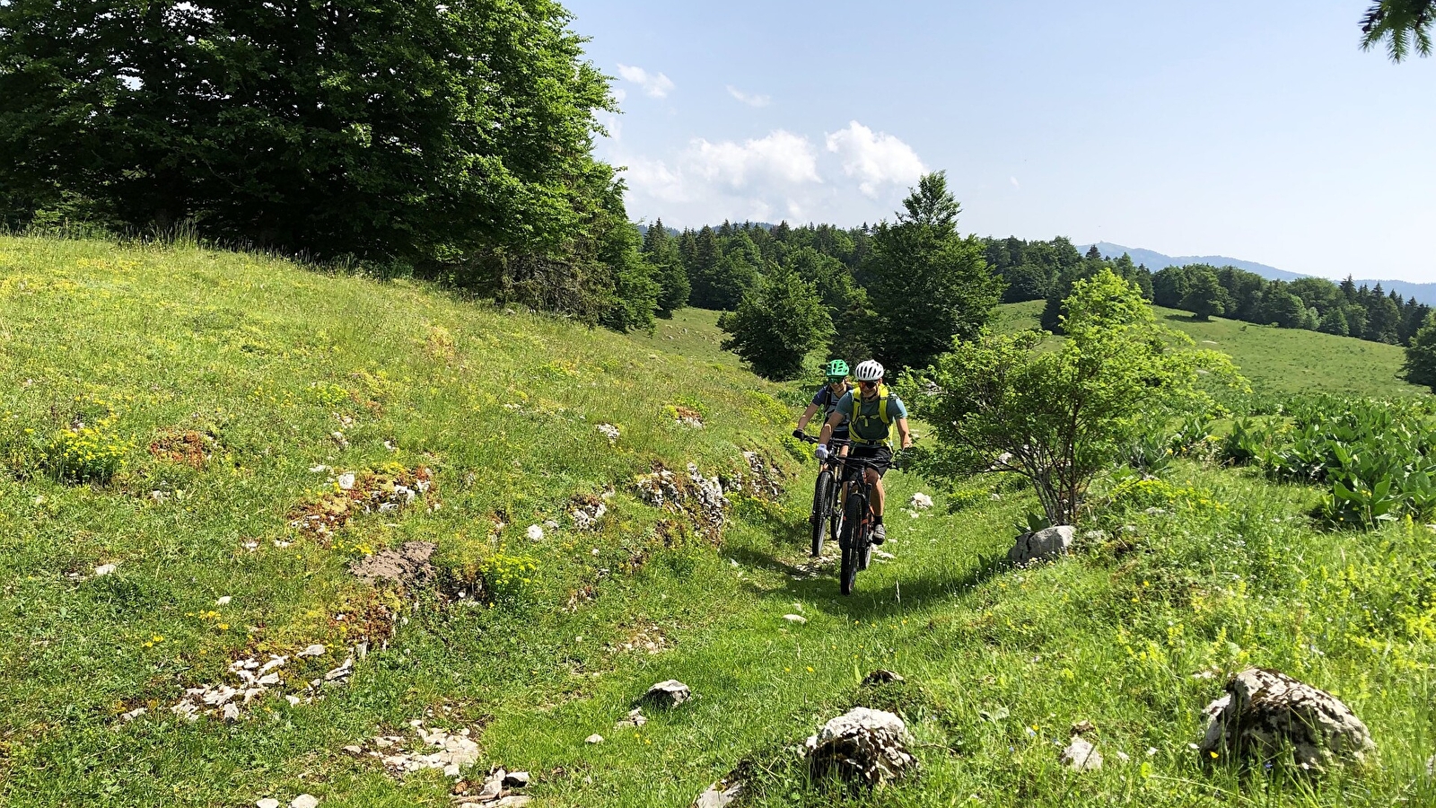 Tour des Arcets - 117R