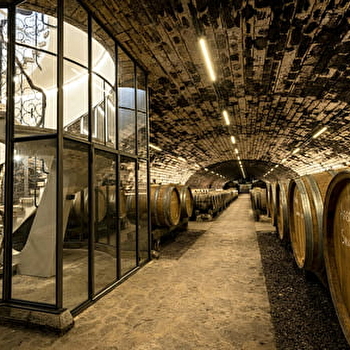 Domaine de la Pinte - ARBOIS