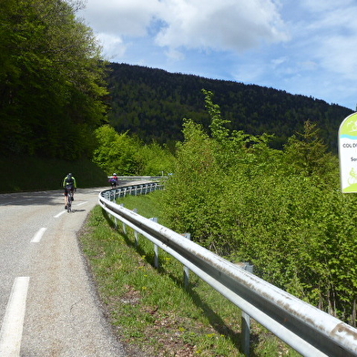 Col de la Faucille depuis Gex