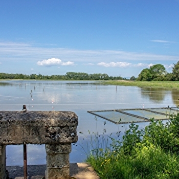 Itinérance L'Ain à Vélo - Entre Dombes et Val de Saône (2 jours) - CHATILLON-SUR-CHALARONNE