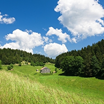 Tour de la Combe Arbey - 23V - LAMOURA