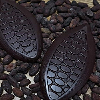 Visite de la chocolaterie Drouhet - LUXEUIL-LES-BAINS