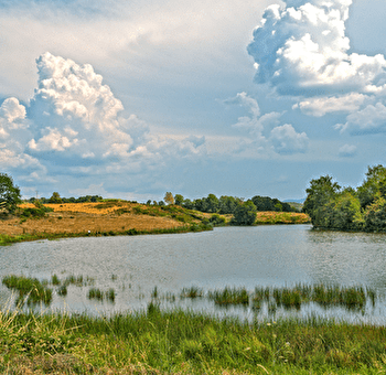 Boucle cyclable n°15 - La Petite Finlande - FAUCOGNEY-ET-LA-MER