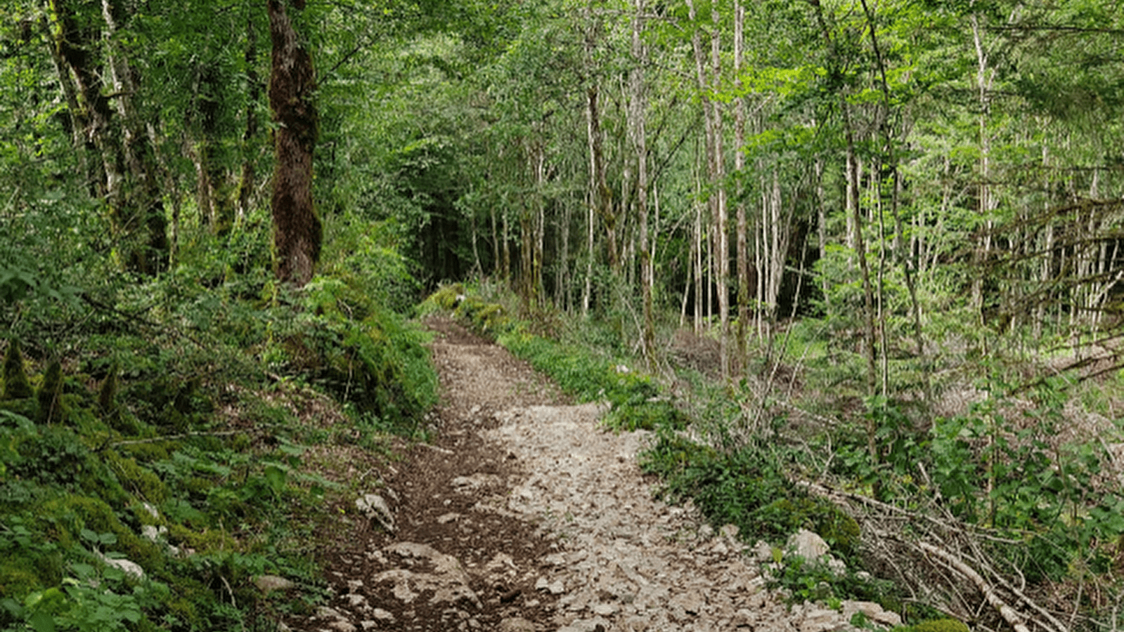 Autour du Désert - 106B
