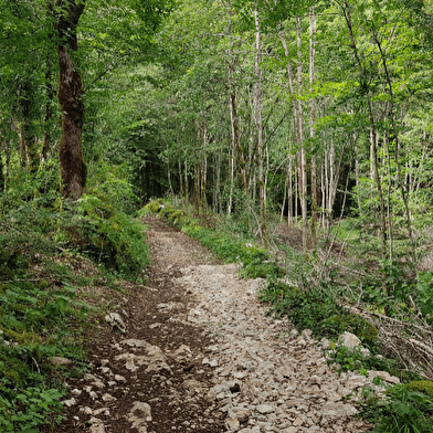 Autour du Désert - 106B
