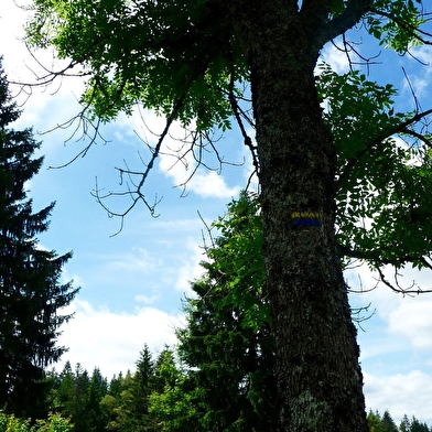 Sentier Montagnard du Grand Taureau