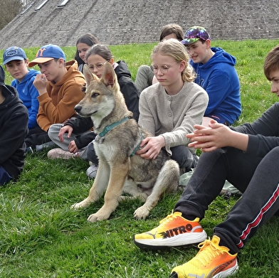 Découvrez la nature qui nous entoure !
